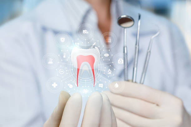 Best Dental Fillings (Composite and Amalgam)  in Naples, FL